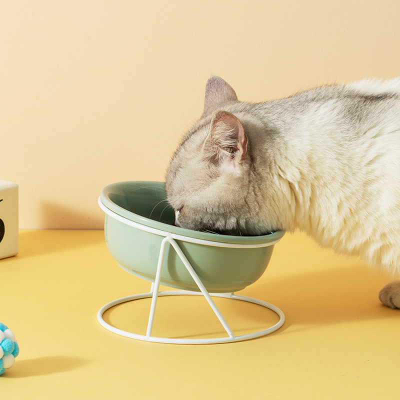Wholesale Green White Ceramic Cat Bowl With Stand