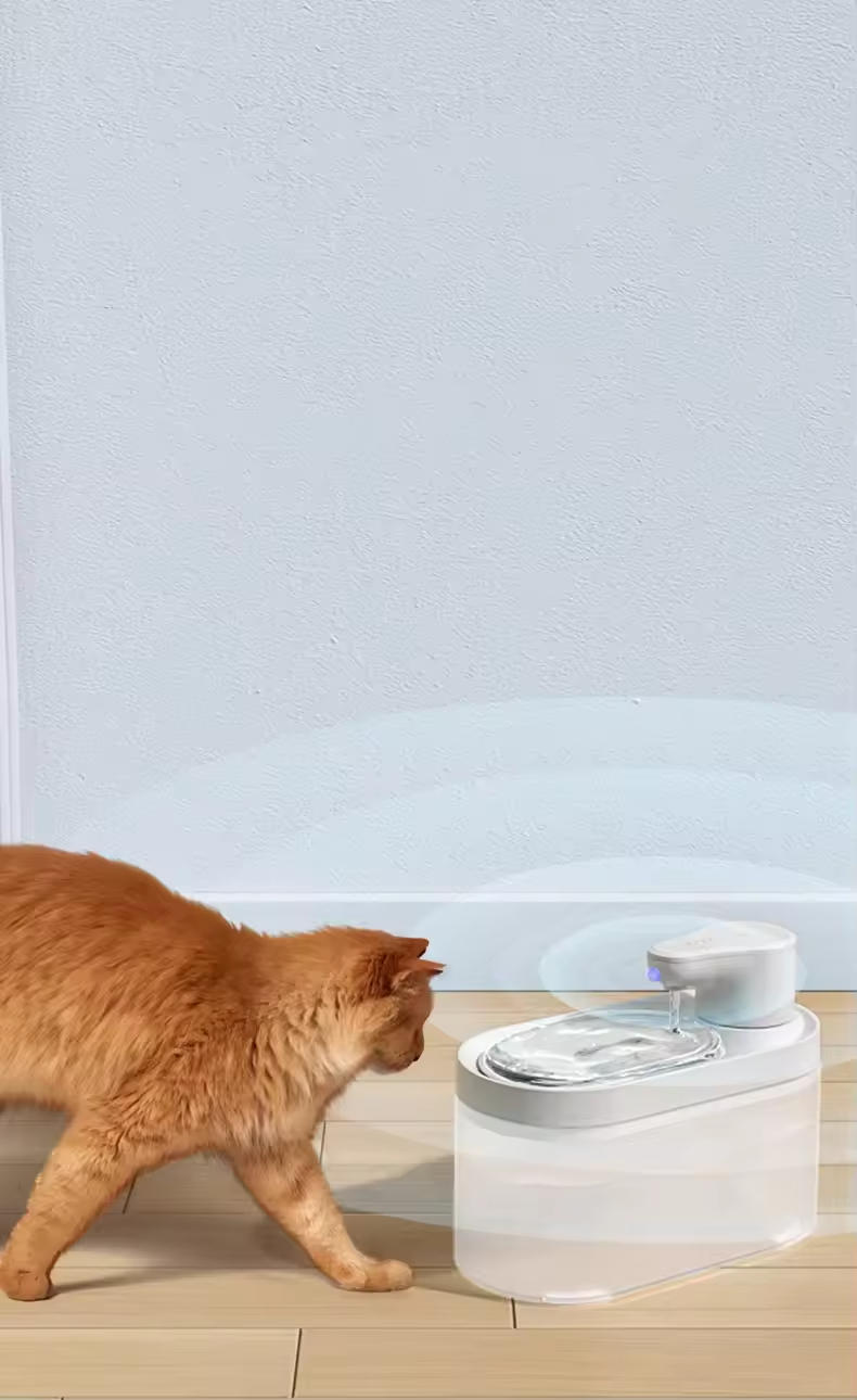 Custom Electric Smart Pet Drink Fountain Cat Water Feeder Indoor Automatic Filter Water Drink Dispenser USB for Dog Cat