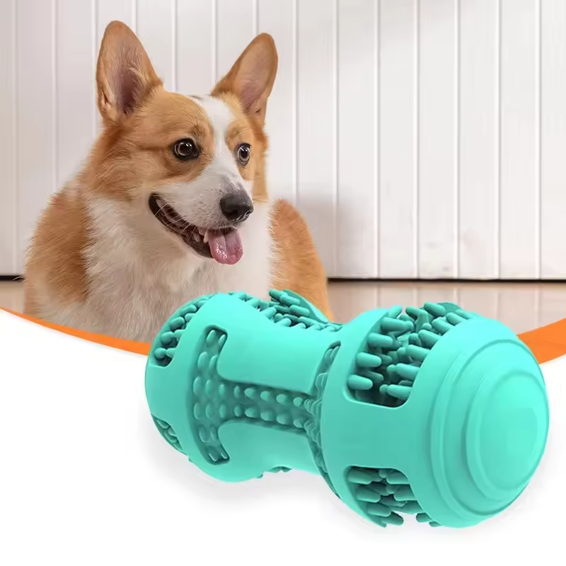 Wholesale dog toys durable natural rubber dog tooth cleaning toys Pet Interactive & Movement Toys Competitive price