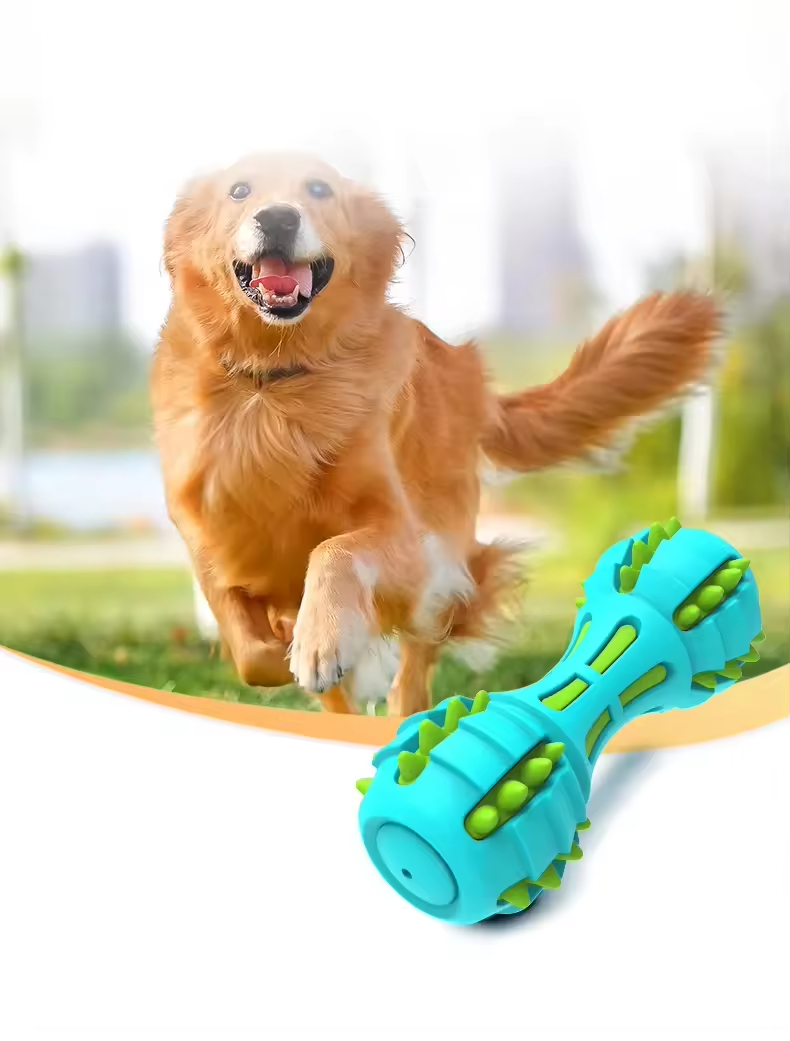 Supply Custom dog toys durable rubber tooth cleaning chew pet squeak dog interactive toy cheap price
