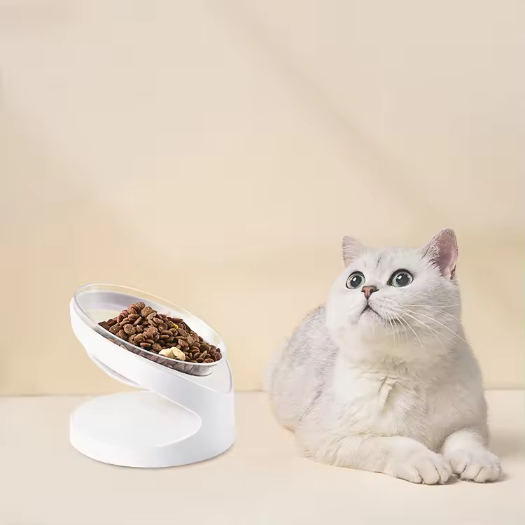 Transparent Sloped Acrylic Pet Feeder Acrylic Elevated Pet Bowls Raised Clear Feeding Stand for Cats and Small Dogs