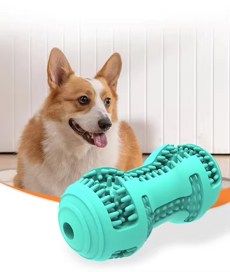 Wholesale dog toys durable natural rubber dog tooth cleaning toys Pet Interactive & Movement Toys Competitive price