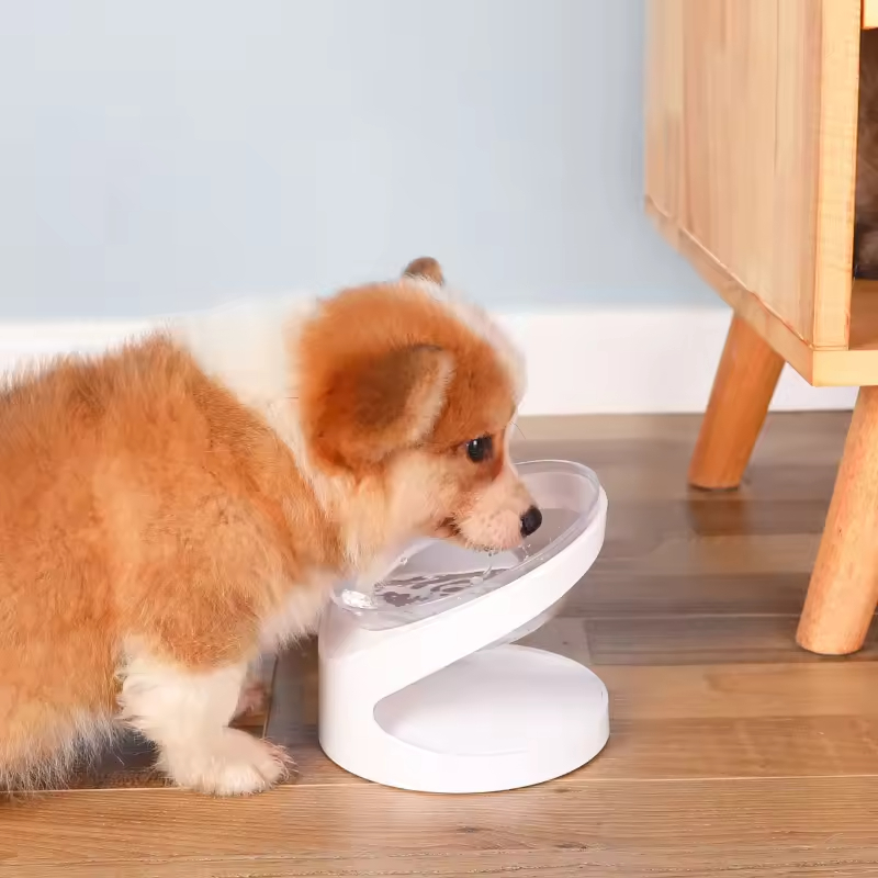 Transparent Sloped Acrylic Pet Feeder Acrylic Elevated Pet Bowls Raised Clear Feeding Stand for Cats and Small Dogs
