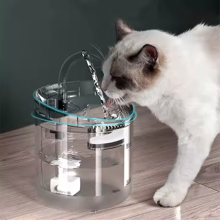 cat fountains.jpg