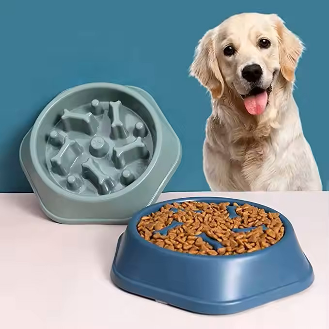 Pet Bowls.jpg